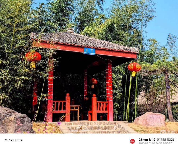 图片8